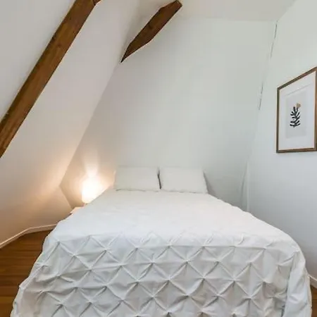 Apartman Mana - Maui - Grand Loft En Duplex Avec Vue Sur Place Ducale Parking Inclus Charleville-Mézières