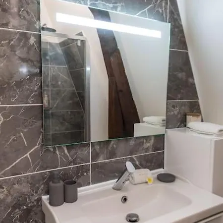 Mana - Maui - Grand Loft En Duplex Avec Vue Sur Place Ducale Parking Inclus Charleville-Mézières
