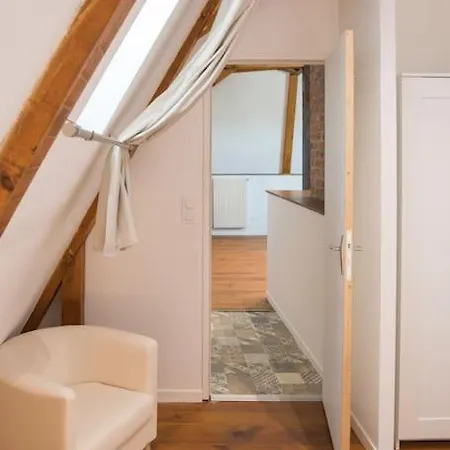 Apartman Mana - Maui - Grand Loft En Duplex Avec Vue Sur Place Ducale Parking Inclus *