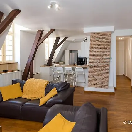 Apartman Mana - Maui - Grand Loft En Duplex Avec Vue Sur Place Ducale Parking Inclus