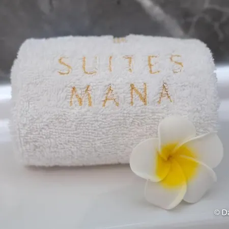 Mana - Maui - Grand Loft En Duplex Avec Vue Sur Place Ducale Parking Inclus Appartamento Charleville-Mézières