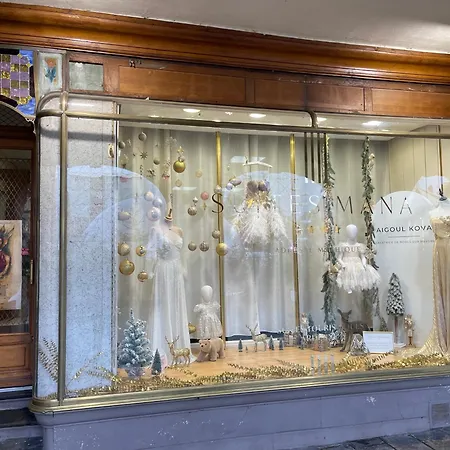 Mana - Maui - Grand Loft En Duplex Avec Vue Sur Place Ducale Parking Inclus * Charleville-Mézières