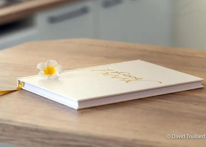 Mana - Maui - Grand Loft En Duplex Avec Vue Sur Place Ducale Parking Inclus