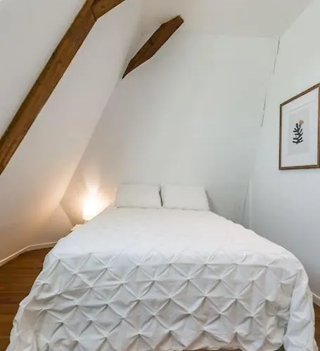 Apartman Mana - Maui - Grand Loft En Duplex Avec Vue Sur Place Ducale Parking Inclus Charleville-Mézières