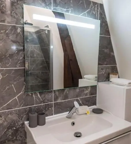 Mana - Maui - Grand Loft En Duplex Avec Vue Sur Place Ducale Parking Inclus Charleville-Mézières