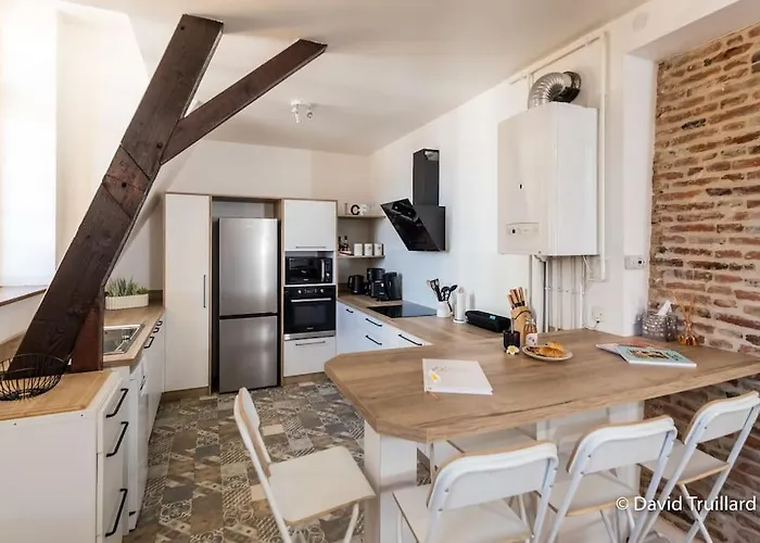 Mana - Maui - Grand Loft En Duplex Avec Vue Sur Place Ducale Parking Inclus *