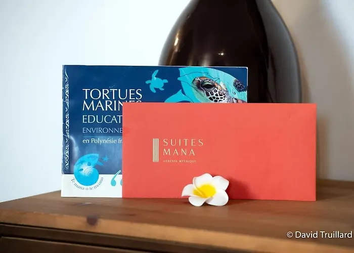 Mana - Maui - Grand Loft En Duplex Avec Vue Sur Place Ducale Parking Inclus