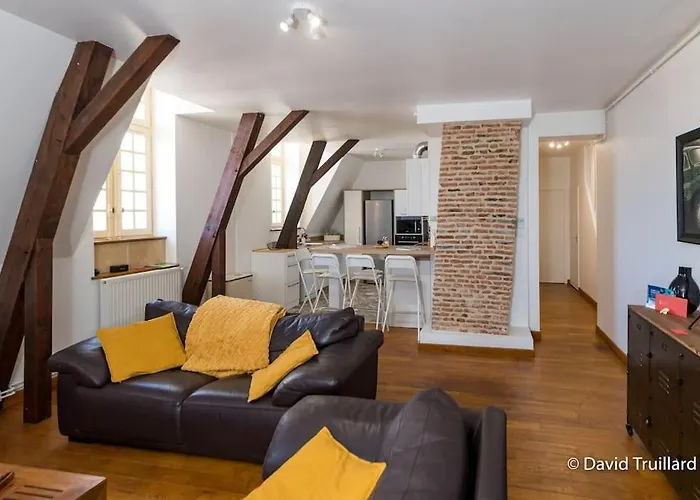 Apartman Mana - Maui - Grand Loft En Duplex Avec Vue Sur Place Ducale Parking Inclus