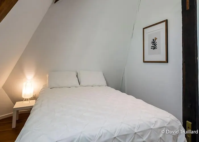 Apartman Mana - Maui - Grand Loft En Duplex Avec Vue Sur Place Ducale Parking Inclus *